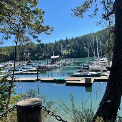 86′ End-Tie Wet Slip at Pleasant Harbor Marina | Liveaboard Approved | Brinnon, WA